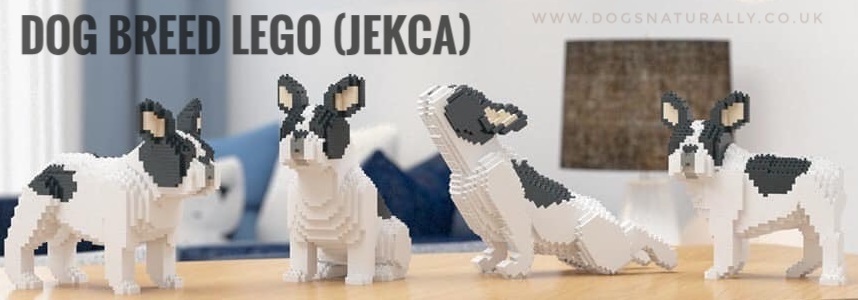 Jekca (Dog Lego)